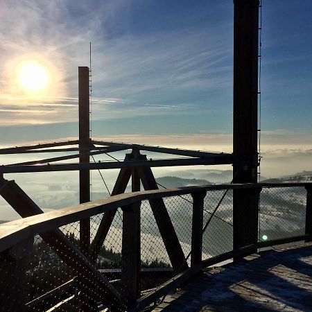 Zlaty Apartman Dolni Morava Bagian luar foto