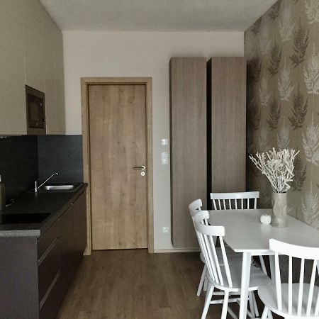 Zlaty Apartman Dolni Morava Bagian luar foto