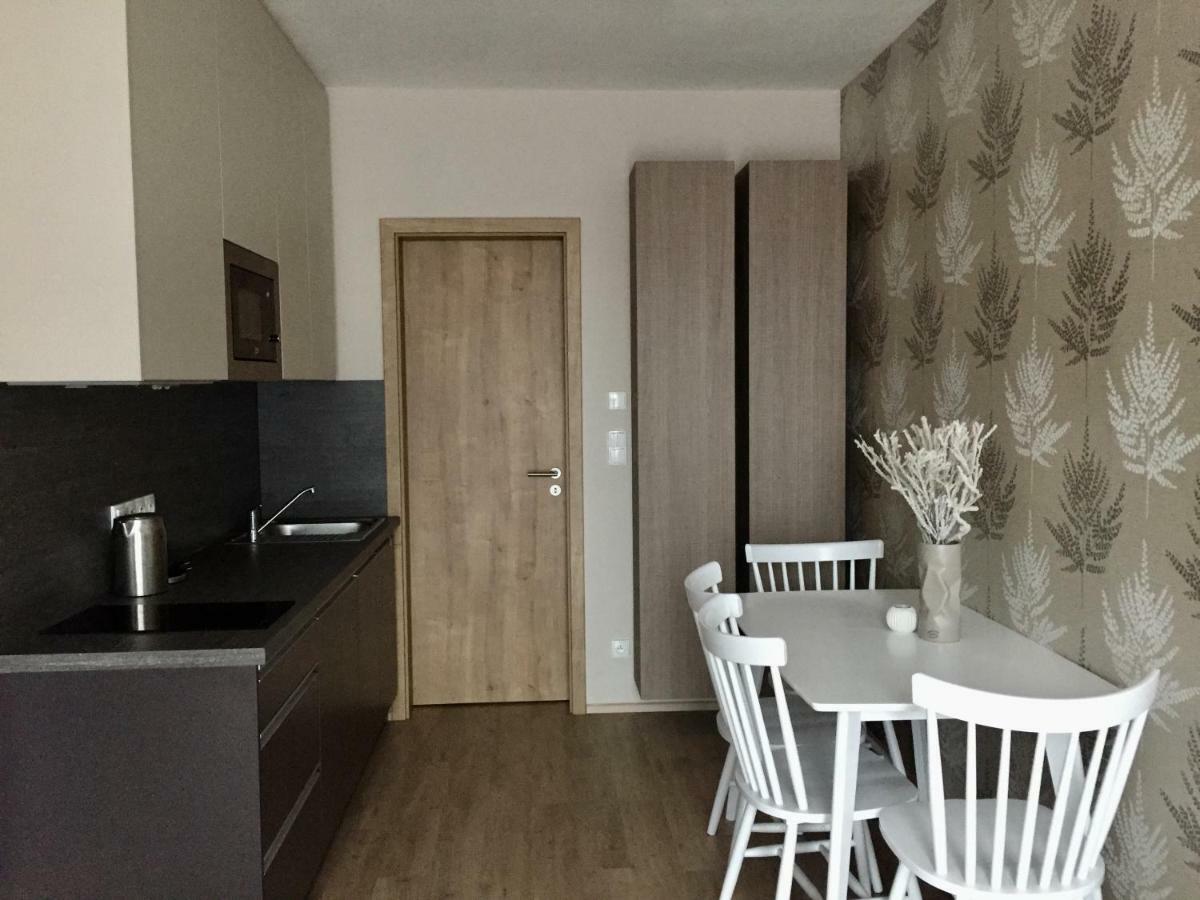 Zlaty Apartman Dolni Morava Bagian luar foto